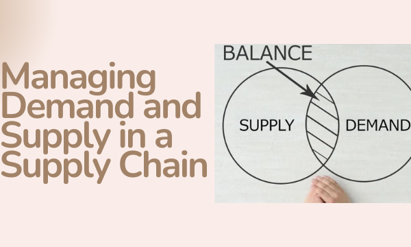 Managing Demand and Supply in a Supply Chain